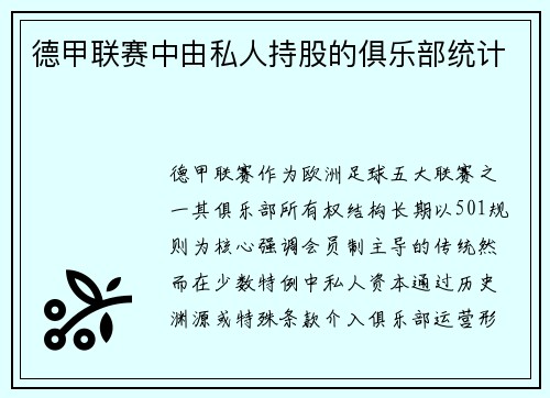 德甲联赛中由私人持股的俱乐部统计