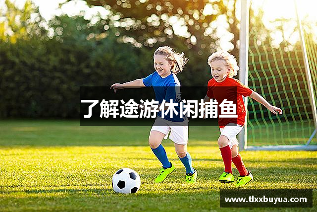 了解途游休闲捕鱼